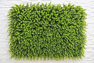 《羊蹄山之鬼》的开放世界将不再那么重复